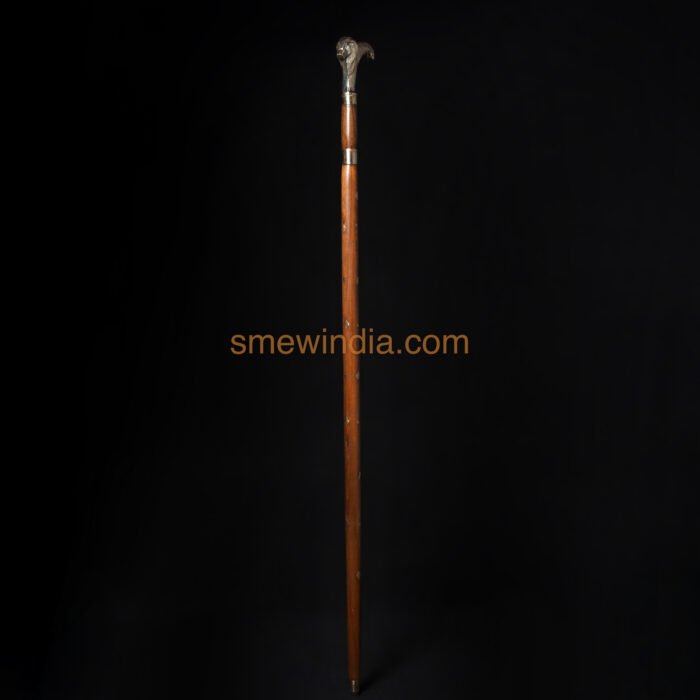 Lion’s Gaze Gupti Cane - Brass Handle Sword Stick